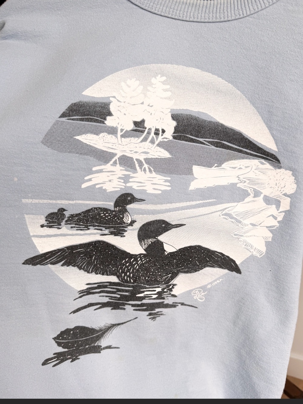 Vtg 90s Non-Fiction Tiger Brand Loon Sweatshirt Made in Canada L Oversized - Picture 5 of 12